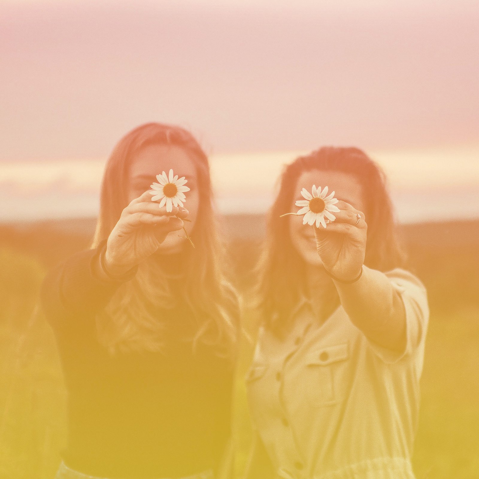 Two women stand in a field holding large daisies in front of their faces